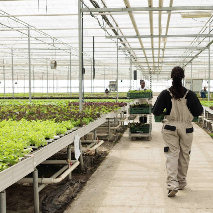 Farming Industry